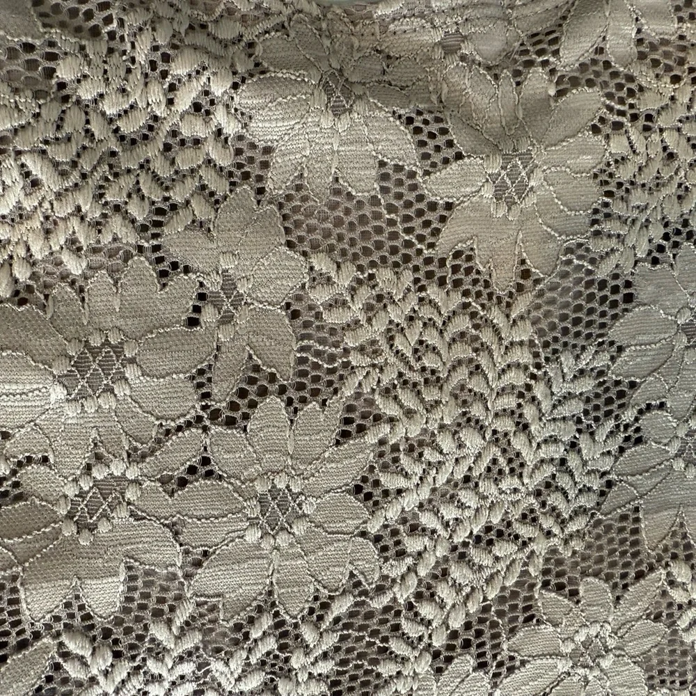 Altar'd State Lace Crop Top in Taupe - Picture 3 of 3